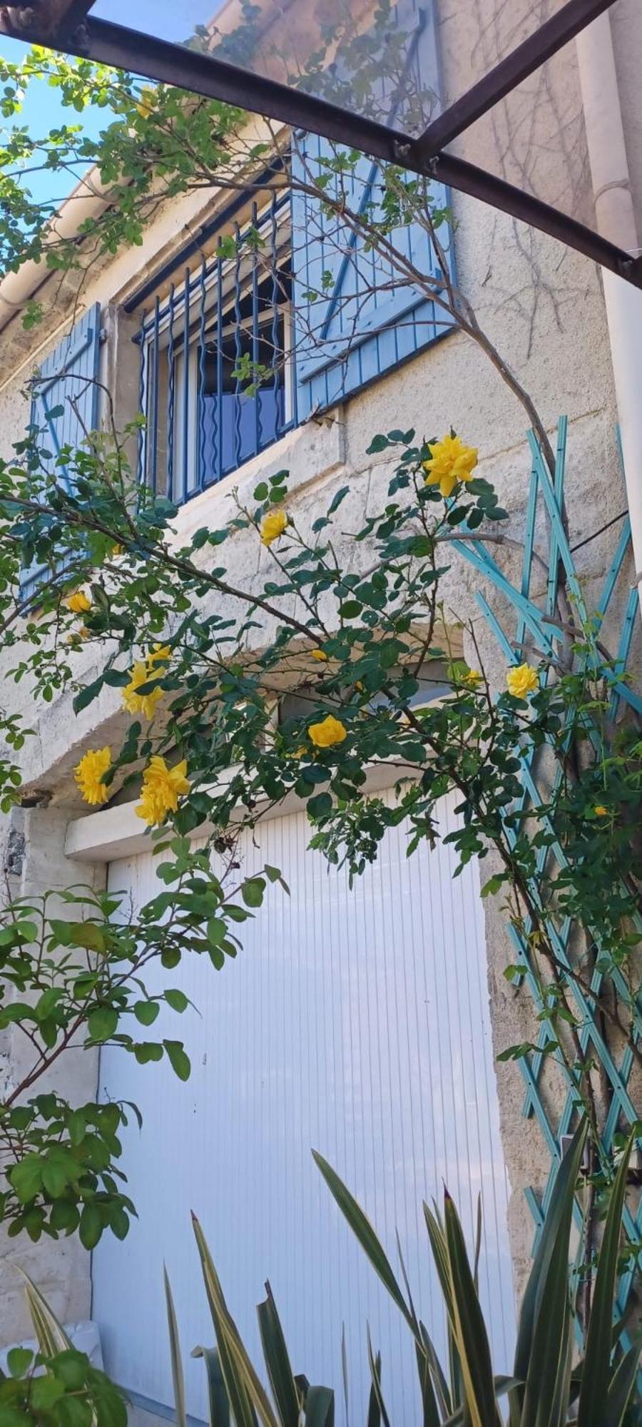 Le Colibri Bleu Bed and Breakfast Argeliers Buitenkant foto