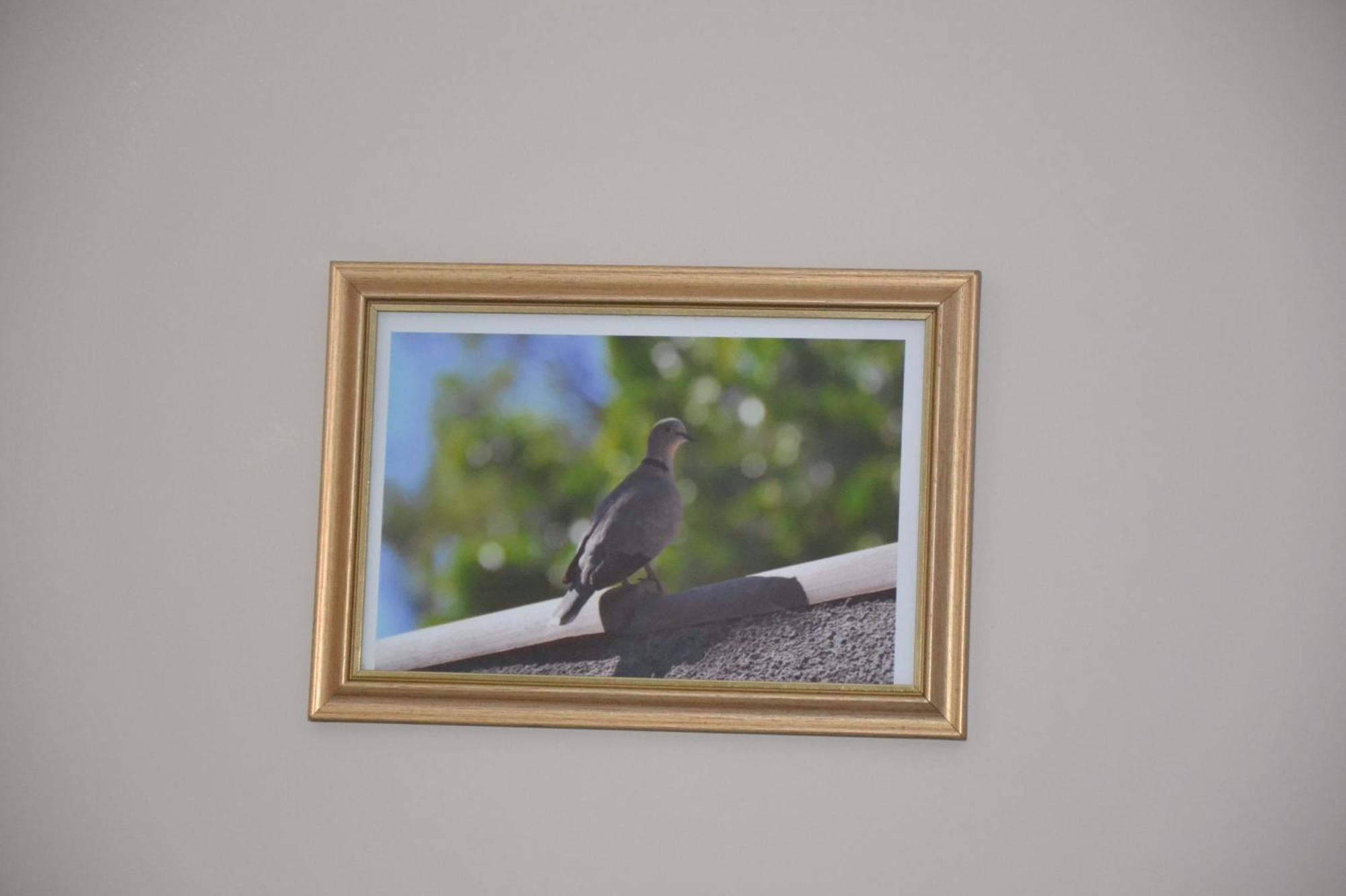 Le Colibri Bleu Bed and Breakfast Argeliers Buitenkant foto