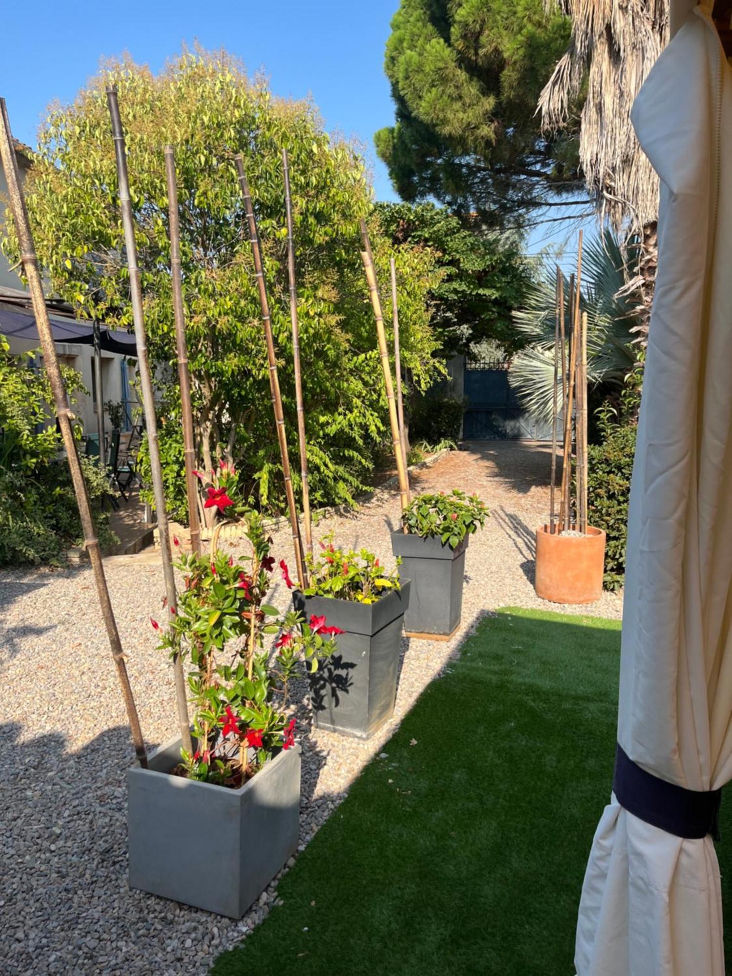 Le Colibri Bleu Bed and Breakfast Argeliers Buitenkant foto